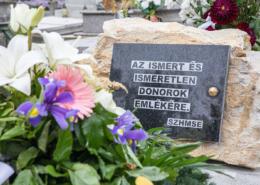 Linda szervei hat embernek adtak új esélyt az életre